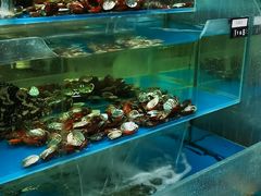 -旺顺阁鱼头泡饼(小红门店)