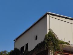 -溪岸路花鸟市场