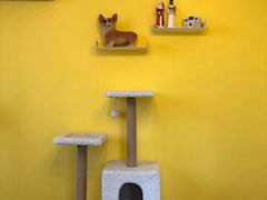 用餐区-22cafe