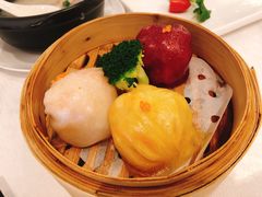 美兰虾饺皇-安蒂娅.悦景轩中餐厅(西乡店)