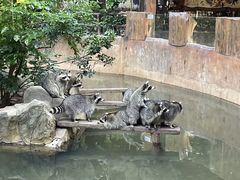 -长鹿旅游休博园