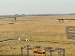 -红海滩国家风景廊道