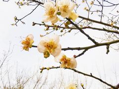 -金山公园