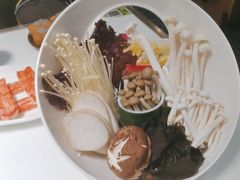 -洪氏嗨捞·猪肚鸡火锅(阳光天地店)