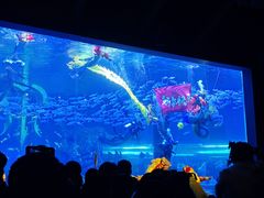 -哈尔滨波塞冬海底世界