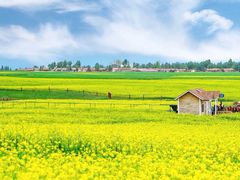 -扁都口生态休闲旅游区