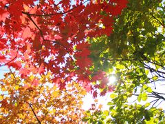 -丹东天桥沟景区