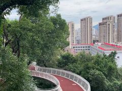 -金鸡山公园