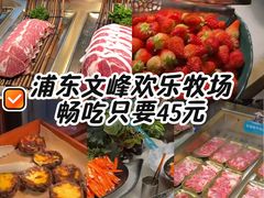 -東盛炭烤自助料理(浦东文峰广场店)
