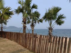 -大梅沙海滨公园