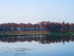 -东湖落雁景区