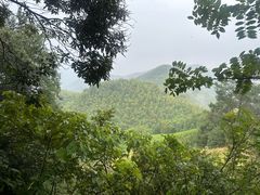 -莫干山风景区