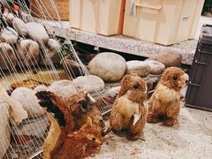 -1/4 ONE QUARTER COFFEE LAB(朝阳大悦城店)