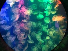 -成都浩海立方海洋公园