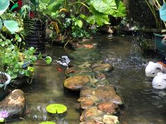 -园林美食城·本土农家菜(杨和镇店)