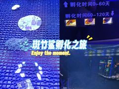 -大连圣亚海洋世界