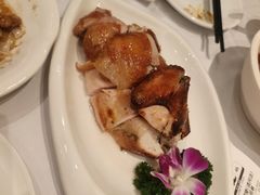 -凯鸽酒楼(大同振兴街店)