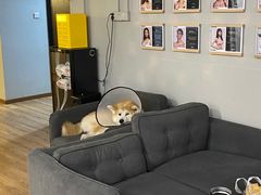 -YCHL Studios健身工作室(市二宫店)