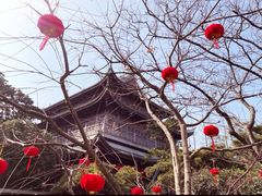 -龙华寺