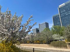 -元大都城垣遗址公园