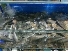 -蚝专家(北滘店)