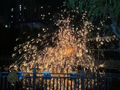 -海合安武汉极地海洋公园