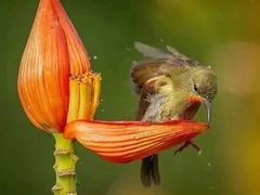 -龙湾潭国家森林公园