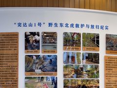 -横道河子东北虎林园