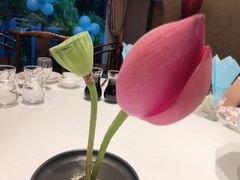 -龙吟九品(青龙山庄店)