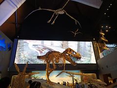 -贝林大翅鲸简餐厅(国家海洋博物馆店)