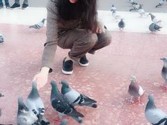 -加泰罗尼亚广场