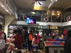 -猫咪博物馆(顶澳仔猫街店)