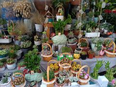 -循礼门鲜花花市(武汉循礼门店)