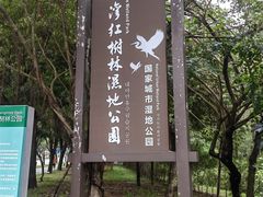 -大亚湾红树林城市湿地公园