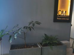 点击看大图 -OM瑜伽教练培训学院