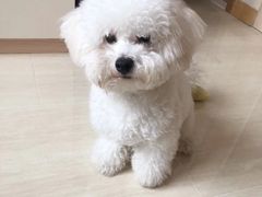 -喜多萌中农锦绣动物医院24H·猫科·牙科MRI·CT