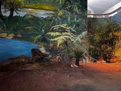 -自贡恐龙博物馆