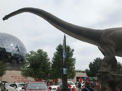 -陕西自然博物馆