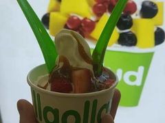 -Salud撒露欧洲冻酸奶(蓝色港湾店)