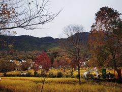 -塔川景区