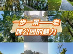 -四海公园(南山区)