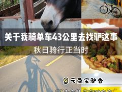 -元鼎宝驴香·全驴宴(江宁店)