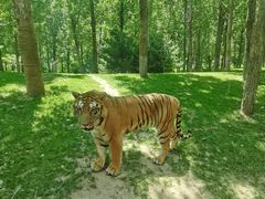 -北京野生动物园