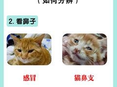 -美联众合爱康动物医院•复杂内科•肿瘤科•牙科•腔镜诊疗中心