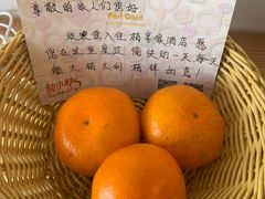 -前小桔亲子创意农场·草莓采摘·露营烧烤