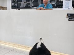 -申普宠物医院·眼科·心内科·影像科(普陀分院)