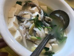 元茜豆腐鱼汤-鸿达渔港