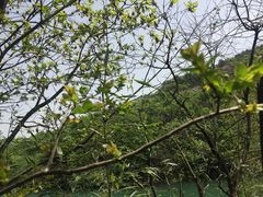 -白马涧龙池景区
