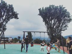 -铁山坪森林公园