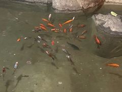 -即墨印象